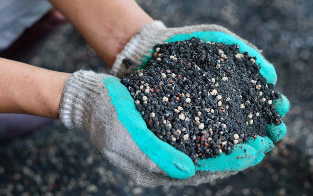 fertilizer in person hands 