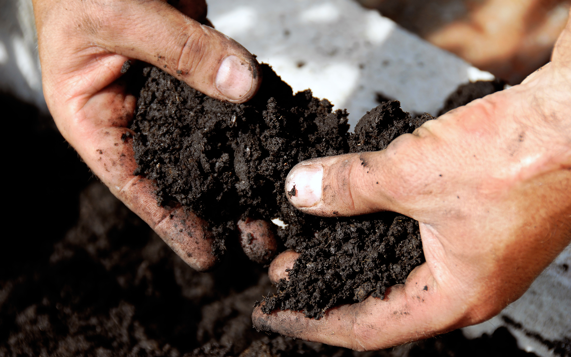 How Soil Types Affect Part Wear