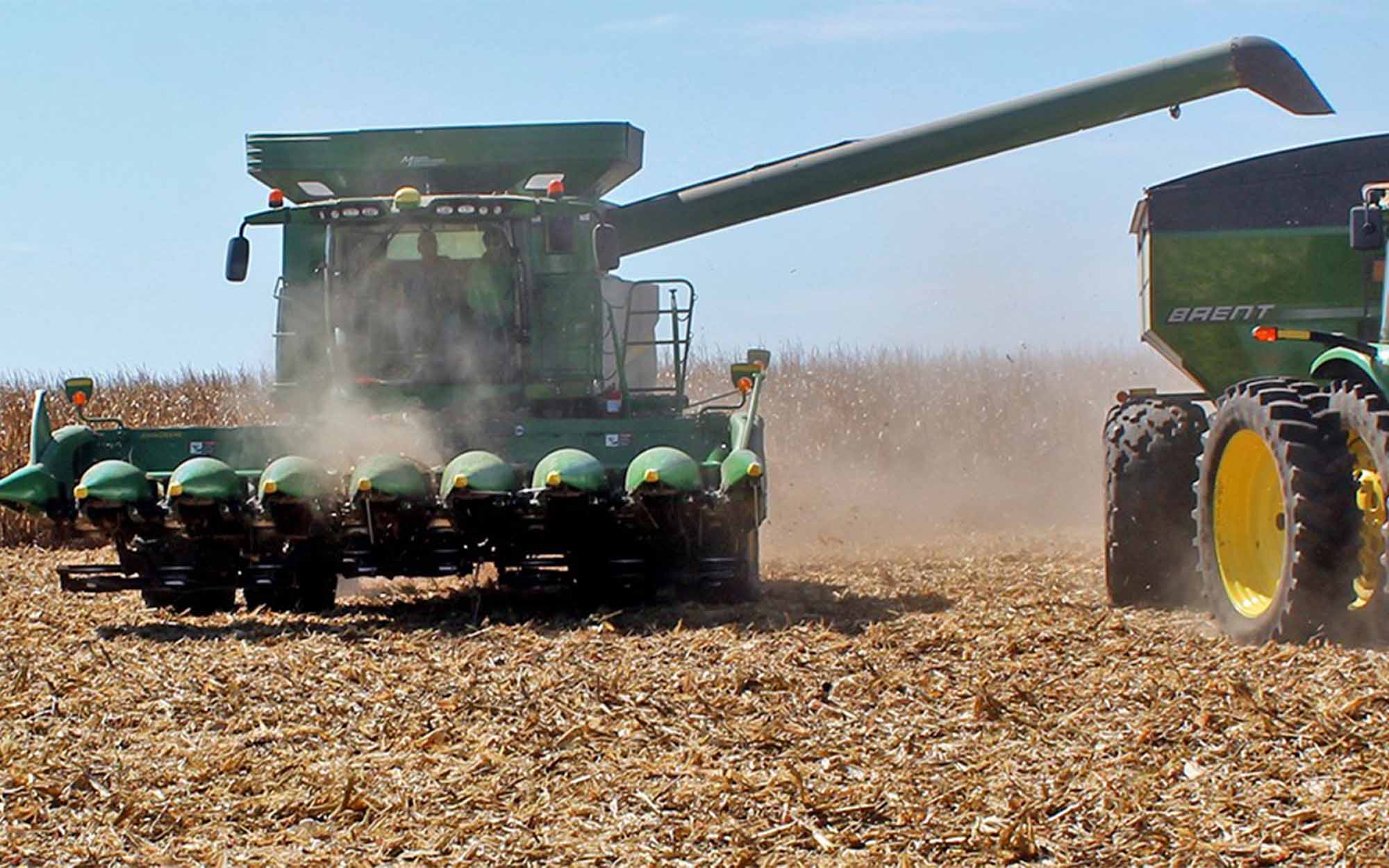 Everything You Need to Know About the Stalk Devastator