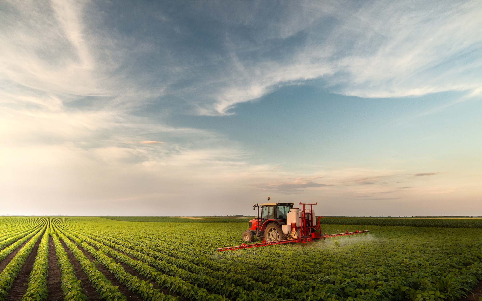 Tractor spraying pesticides at soy bean field