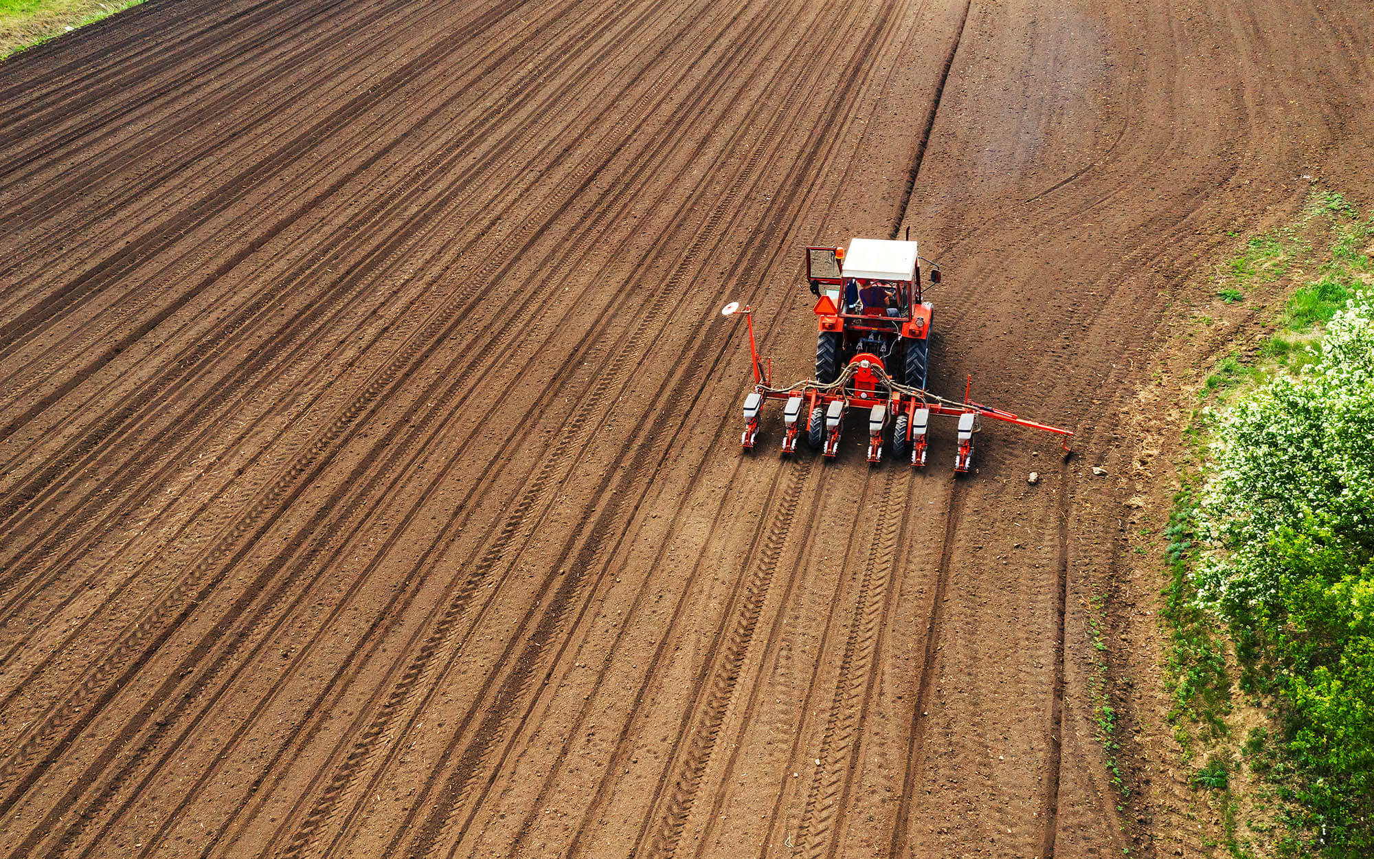 Aerial view of tractor with mounted seeder performing direct seeding